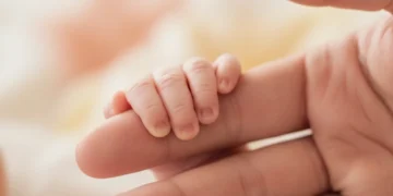 Tiny baby hands grasping an adult's finger, representing the Sure Start Maternity Grant support.